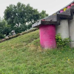 Dezastrul Ceasului Floral din Timișoara, acoperit în batjocură cu niște răsaduri cu flori (foto/video) 4 ceas floral1