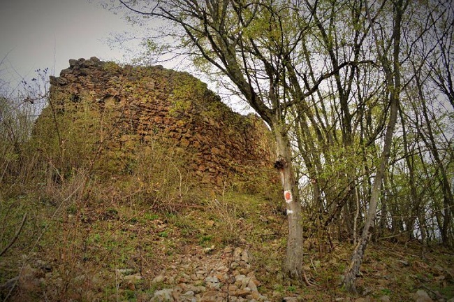 Cetatea Jdioara va fi reabilitată 1 Cetatea Jdioara va fi reabilitată