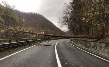 Circulație blocată complet pe Valea Oltului, după ce un copac a căzut pe drum