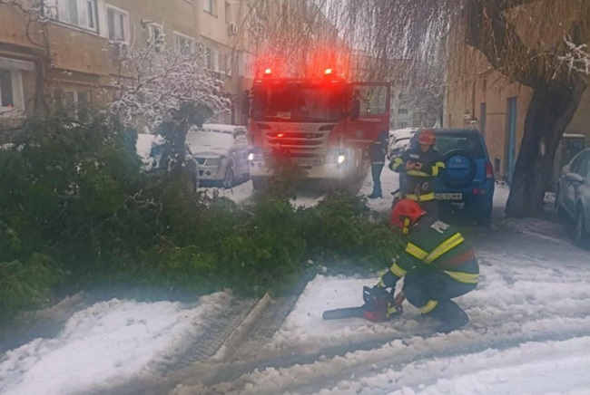 Copaci căzuți sub greutatea zăpezii, o mașină a fost avariată (video) 1 Copaci căzuți sub greutatea zăpezii, o mașină a fost avariată (video)