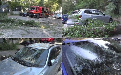 "Am văzut că a picat un copac". Trei maşini, distruse dintr-o singură lovitură. Un arbore s-a prăbuşit din senin în vestul țării