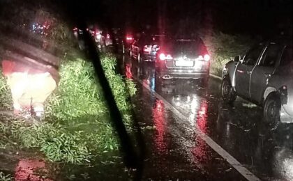 Urgia a lovit puternic în vestul țării: copaci căzuți pe drumuri și peste mașini, acoperișuri prăbușite, gospodării inundate