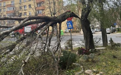 Copaci căzuți, inclusiv pe mașini, în localități din Timiș. Tânăr rănit de un panou publicitar. Intervenții de urgență ale pompierilor 10 Copaci căzuți, inclusiv pe mașini, în localități din Timiș. Tânăr rănit. Intervenții de urgență ale pompierilor