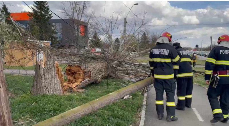 Copaci doborâți de vânt în Timișoara. Cod roșu de vijelie în Arad și Cod portocaliu în Hunedoara