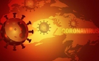 coronavirus 58