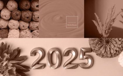 Culoarea anului 2025: ”mocha mousse”