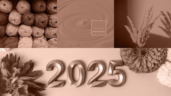 Culoarea anului 2025: ”mocha mousse”