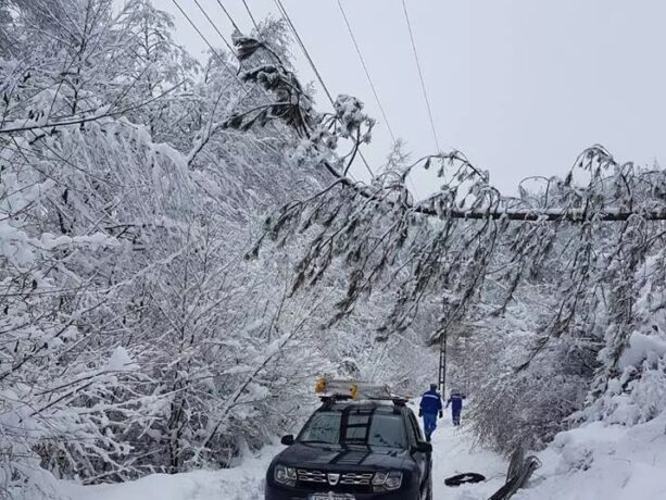 Mai multe localități timișene, în continuare fără curent 1 Mai multe localități timișene, în continuare fără curent