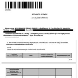 Fals prin omisiune în declarația de avere: consilierul local Răzvan Negrișanu, de la USR Timișoara, nu a menționat 250 de mii de lei împrumutați candidatului prezidențial Nicușor Dan