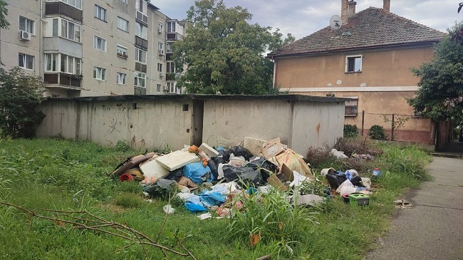 Amenzi de 63.500 lei la Timișoara, doar în ultima săptămână, pentru deșeuri abandonate, mizerie pe șantiere sau ambrozie