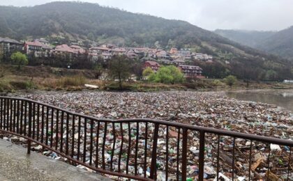 Tone de deșeuri au ajuns în Golful Cernei