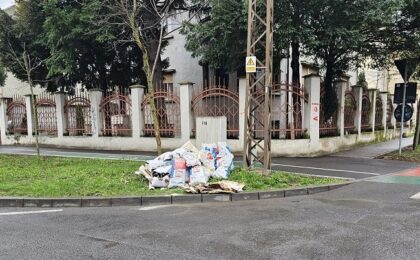 Persoană sancționată cu 15.000 de lei după ce a abandonat deșeuri pe o stradă din Timișoara