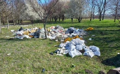 12 tone de deșeuri s-au ridicat din zona de nord a Timișoarei