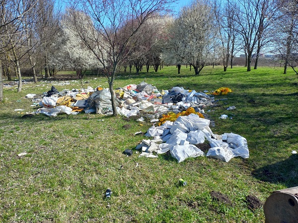 12 tone de deșeuri s-au ridicat din zona de nord a Timișoarei
