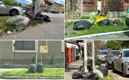Revoltă la Timişoara! Sute de saci cu deșeuri vegetale zac pe străzile din oraş