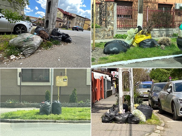 Revoltă la Timişoara! Sute de saci cu deșeuri vegetale zac pe străzile din oraş