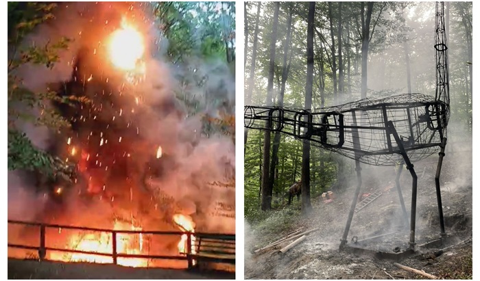 Un dinozaur de 10 metri a luat foc la Dino Parc Râșnov