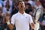 Novak Djokovic va juca pentru Serbia în Cupa Davis