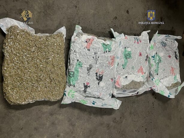 Droguri aduse din Spania, prin curierat: traficanții, prinși în flagrant în apropiere de Caransebeș