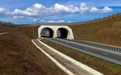 ecoduct branisca autostrada lugoj deva