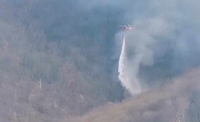 Incendiu teribil în Banat. Intervine un elicopter Black Hawk, alimentarea cu apă se face din Dunăre