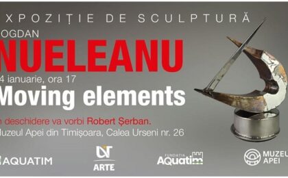 Bogdan Nueleanu expune la Muzeul Apei din Timișoara