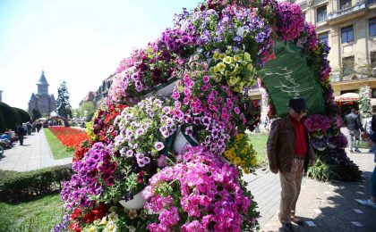 festival floral