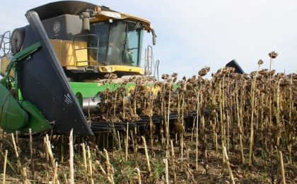 Revolta fermierilor: Cerealele românești sunt detronate de cerealele ucrainene mai ieftine