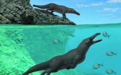 fosila balena uriasa