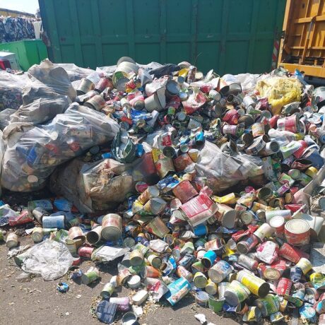 Garda de Mediu Timiș: peste o sută de inspecții și amenzi de 76.000 de lei în septembrie