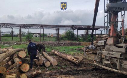 Amenzi în valoare de 15.000 de lei, în urma unor controale în domeniul silvic