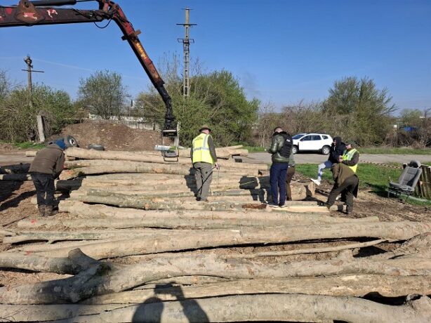 Garda Forestieră Timișoara, acțiuni de control în Timiș, Caraș-Severin și Hunedoara. Ce nereguli au fost descoperite