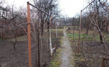 Lucrări în grădină în această perioadă. Sfaturi de la specialiștii Horticultura Timișoara