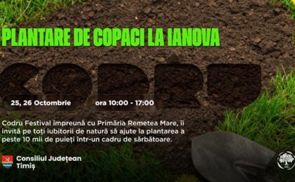 Recomandarea Visit Timiș: Weekendul acesta, muzica și plantatul de copaci vor merge mână în mână la Ianova. Foto
