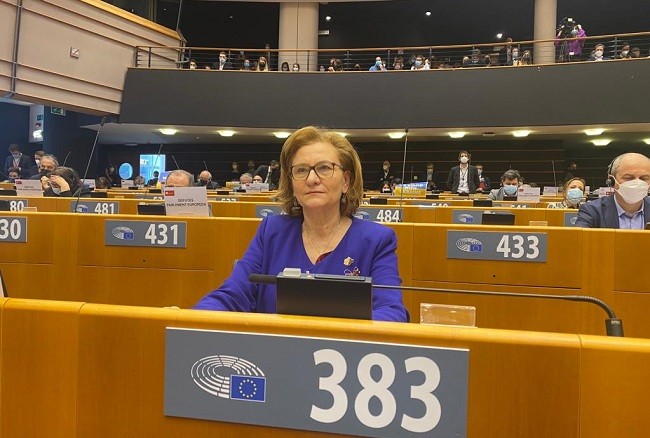 Maria Grapini, în Parlamentul European, despre situaţia din Ucraina: „UE a trecut cu bine examenul unității, însă examenul diplomației a fost picat!”