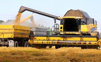Producție de grâu bună, cu o medie de 5.150 kilograme la hectar, în vestul țării, în condițiile secetei pronunțate