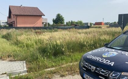 Poliția locală a început verificarea terenurilor neîngrijite din Ghiroda și Giarmata Vii