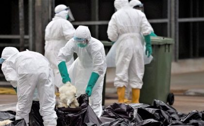 Alertă în vestul României! Ungaria a descoperit un focar de gripă aviară înalt patogenă H5N1 aproape de graniță