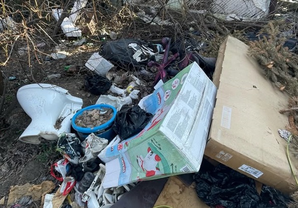 Groapă plină de gunoi, reclamații fără răspuns. Apelul disperat al unei doamne din zona Freidorf