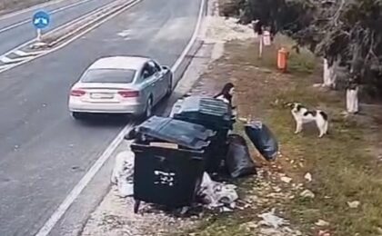 Femeie surprinsă aruncând saci cu deșeuri într-o parcare de pe un drum național din Timiș