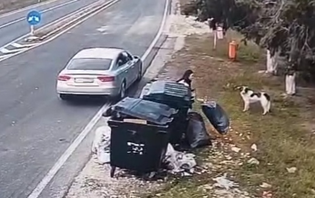Femeie surprinsă aruncând saci cu deșeuri într-o parcare de pe un drum național din Timiș