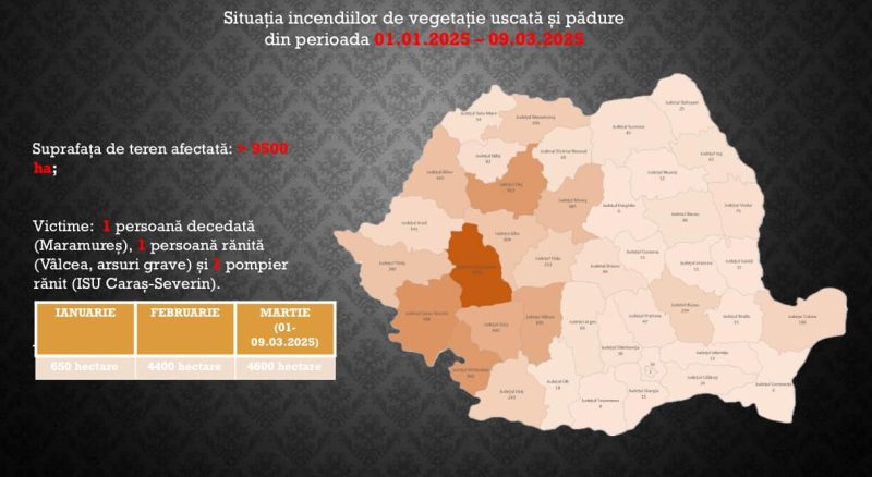 O persoană a murit, un pompier din Banat a fost rănit, iar 9.500 de hectare de teren au fost afectate de incendiile de vegetație