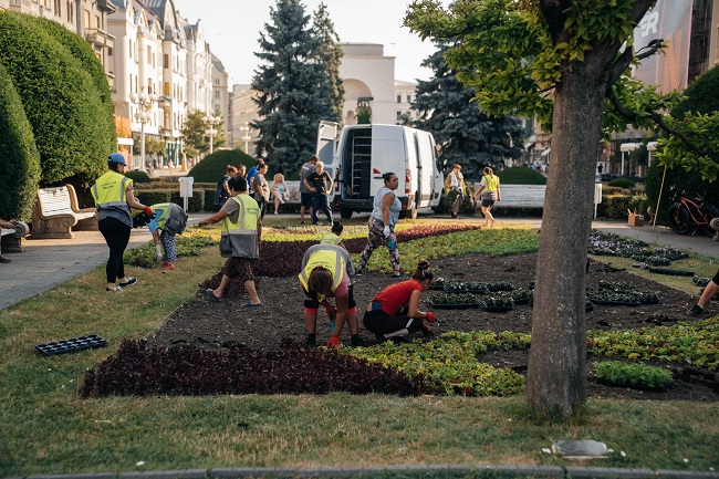 80.000 de flori se plantează în Piața Victoriei