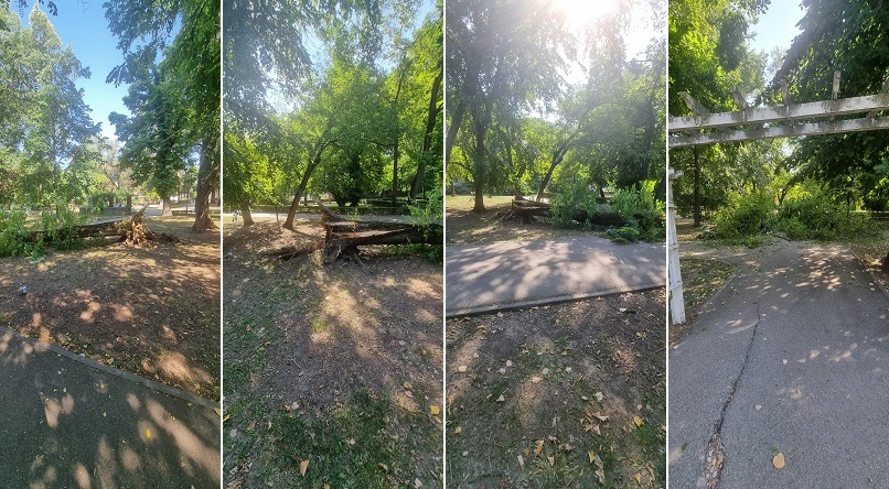 Directorii societăților Primăriei Timișoara încasează salarii mari sau sunt ținute la secret, în plină austeritate și reducere a cheltuielilor