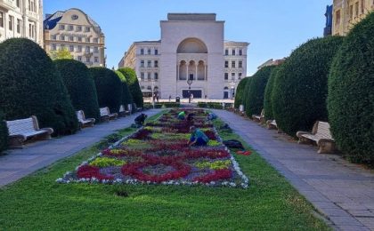 Fritz: ”Horticultura Timișoara a înregistrat venituri cu aproape 2 milioane de lei mai mari decât în perioada similară a anului trecut”