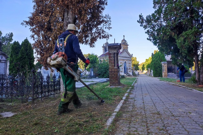 Primăria Timișoara a dat ilegal cimitirele Calea Șagului și Rusu Șirianu către Horticultura. Alte societăți ale administrației USR sunt în prag de faliment