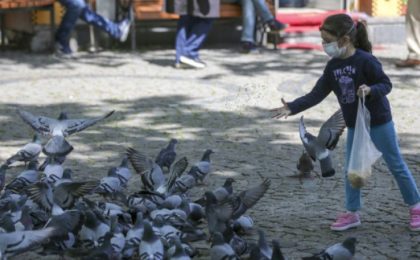 În Timișoara s-a interzis hrănirea porumbeilor! Acum, toate problemele oraşului sunt rezolvate