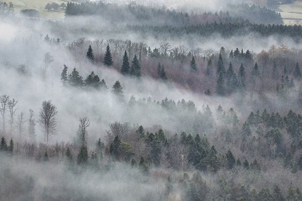 ANM, prognoza meteo actualizată pentru următoarele două săptămâni. Cum va fi vremea în Banat