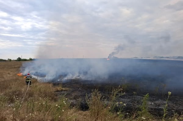 Avertismentul ISU Timiș: Atenție la incendiile de vegetație uscată!