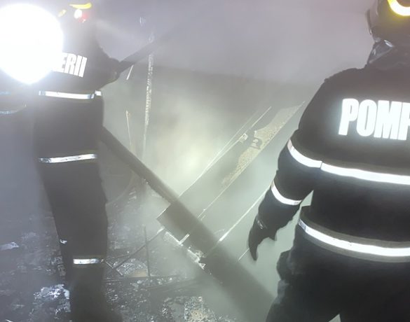 Incendii în Timiș, la Albina, Dumbrăvița, Giarmata și Bunea Mare. SMURD a intervenit de aproape 200 de ori în trei zile